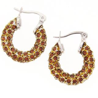 Small Bronze Crystal Hoop Earrings